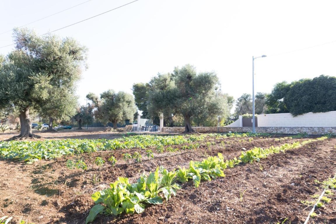 Agrifamily Village San Vito dei Normanni Exterior photo